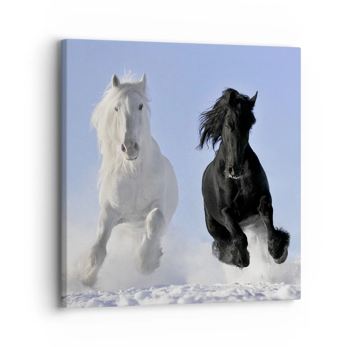 Lærredstryk - Billede på lærred - Sort og hvid galop - 30x30 cm