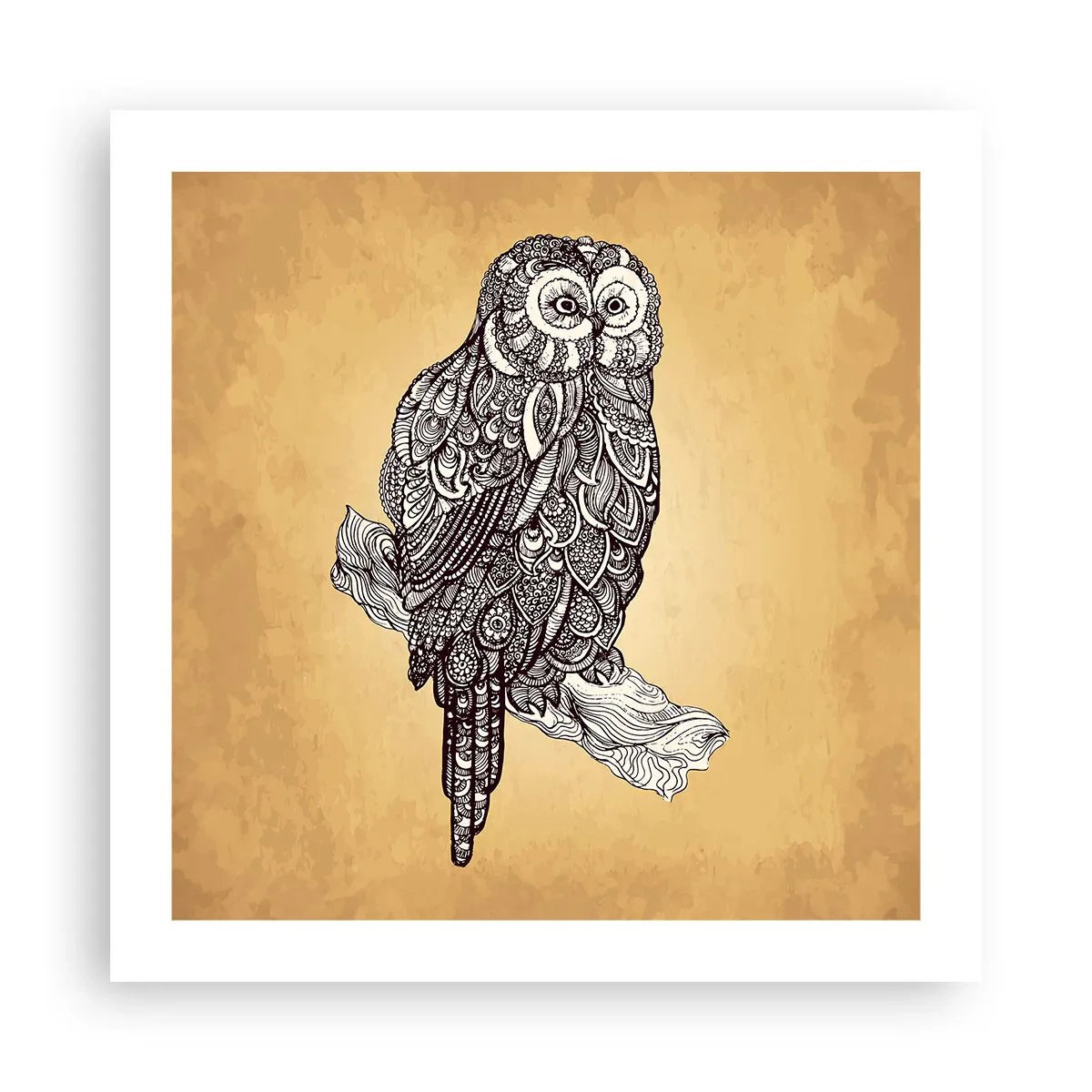 Plakat - Indviklede ornamenter af visdom - 50x50 cm