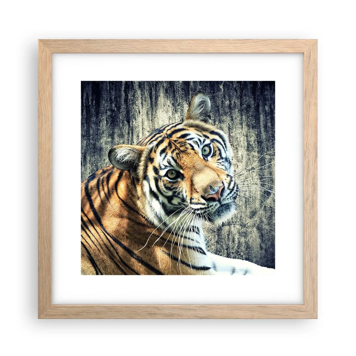 Plakat i ramme af lyst egetræ - Portræt i lysstrømme - 30x30 cm
