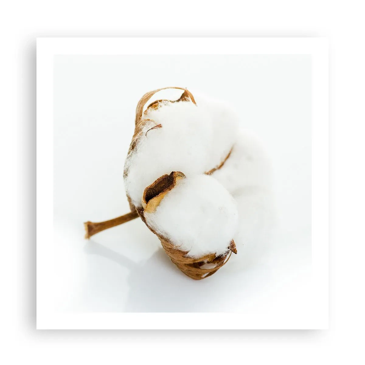 Plakat - Blød af natur - 60x60 cm