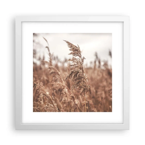 Plakat i hvid ramme - Efteråret er allerede på markerne - 30x30 cm