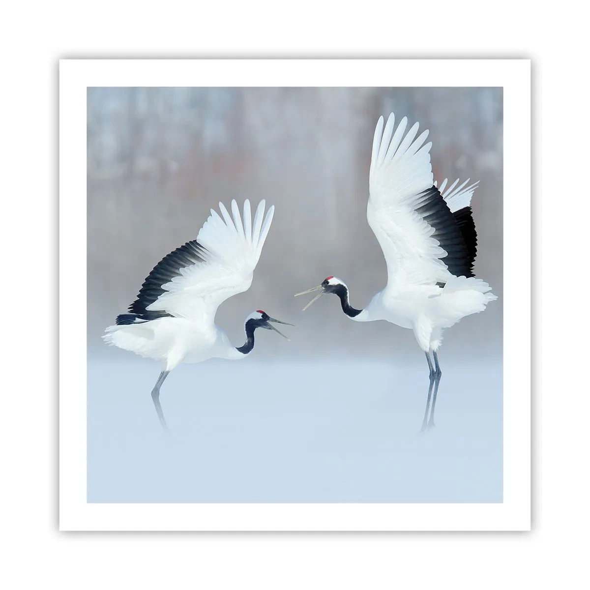 Plakat - Danser i tågen - 60x60 cm