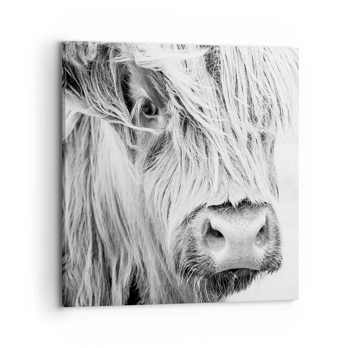 Lærredstryk - Billede på lærred - Skotsk vildmark - 70x70 cm