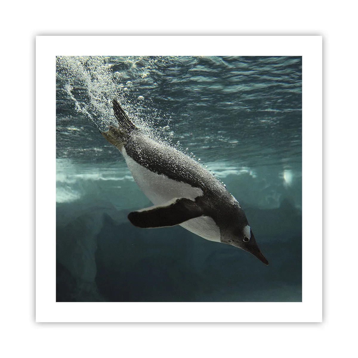 Plakat - Velkommen til min verden - 50x50 cm