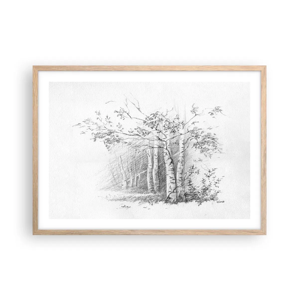 Plakat i ramme af lyst egetræ - Lyset fra birkeskoven - 70x50 cm