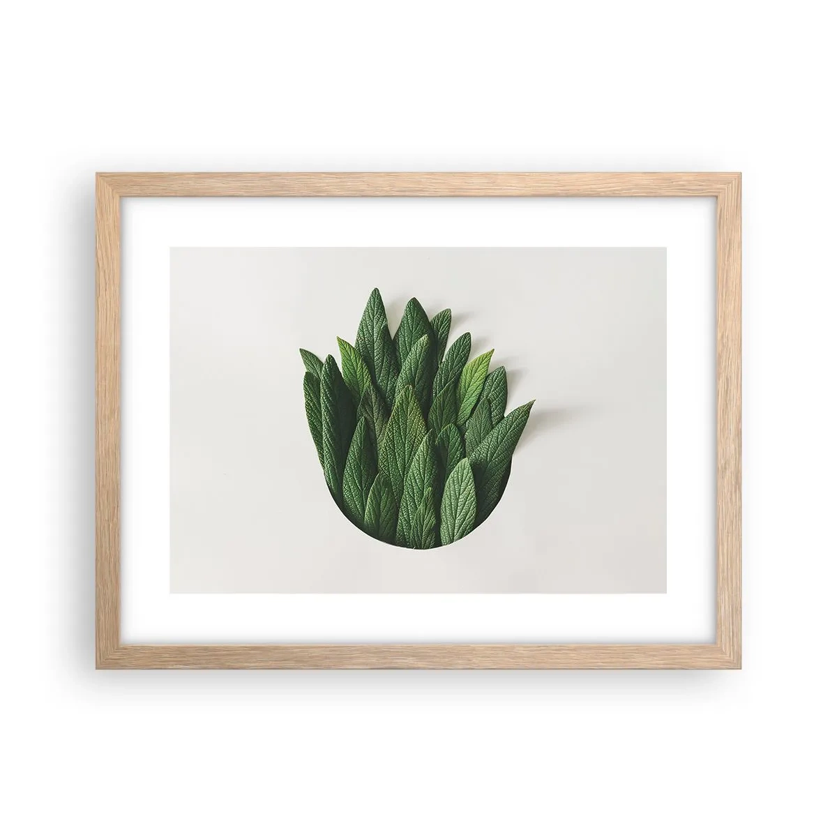 Plakat i ramme af lyst egetræ - Uhæmmet nysgerrighed - 40x30 cm