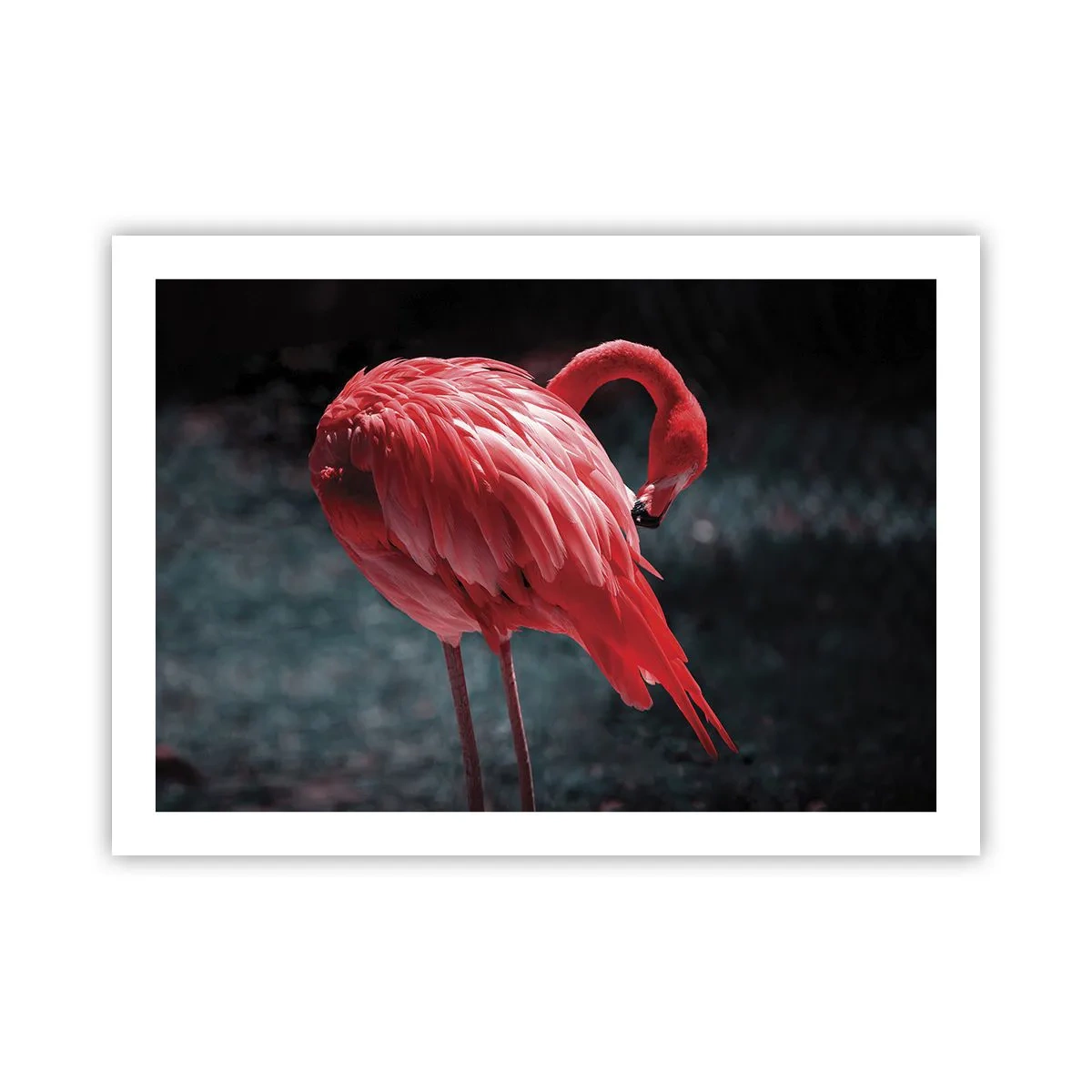 Plakat - Et karmosinrødt naturdigt - 70x50 cm