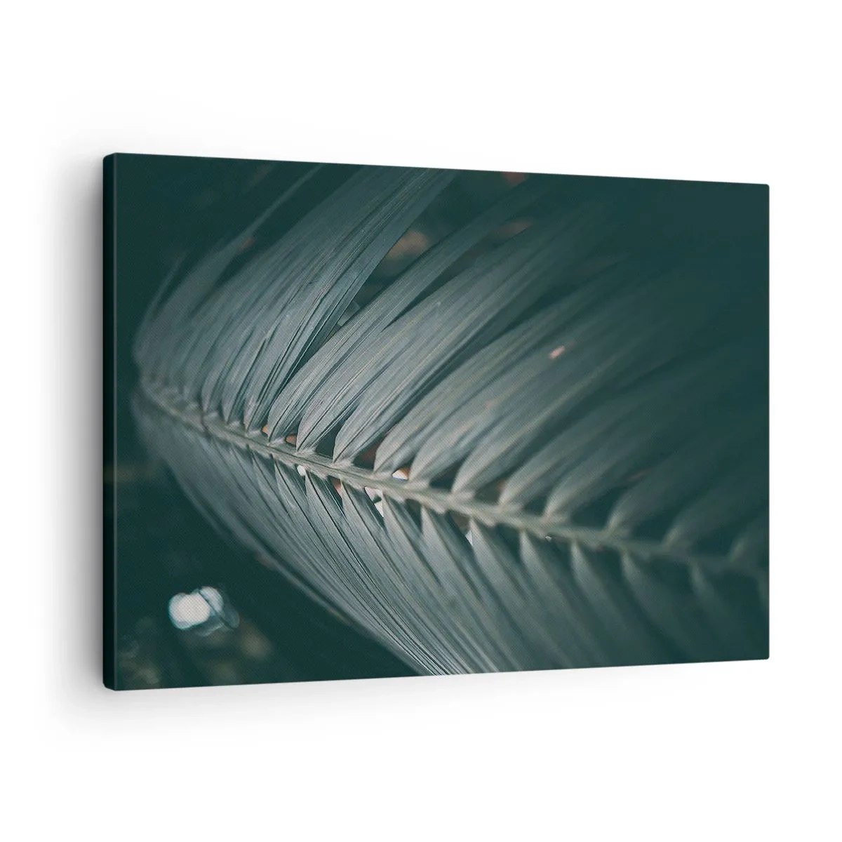 Lærredstryk - Billede på lærred - Nærbillede af en mørktonet palmebladdetalje - 70x50cm - Naturens præcision - Moderne vægdekoration til stue og soveværelse ARTTOR