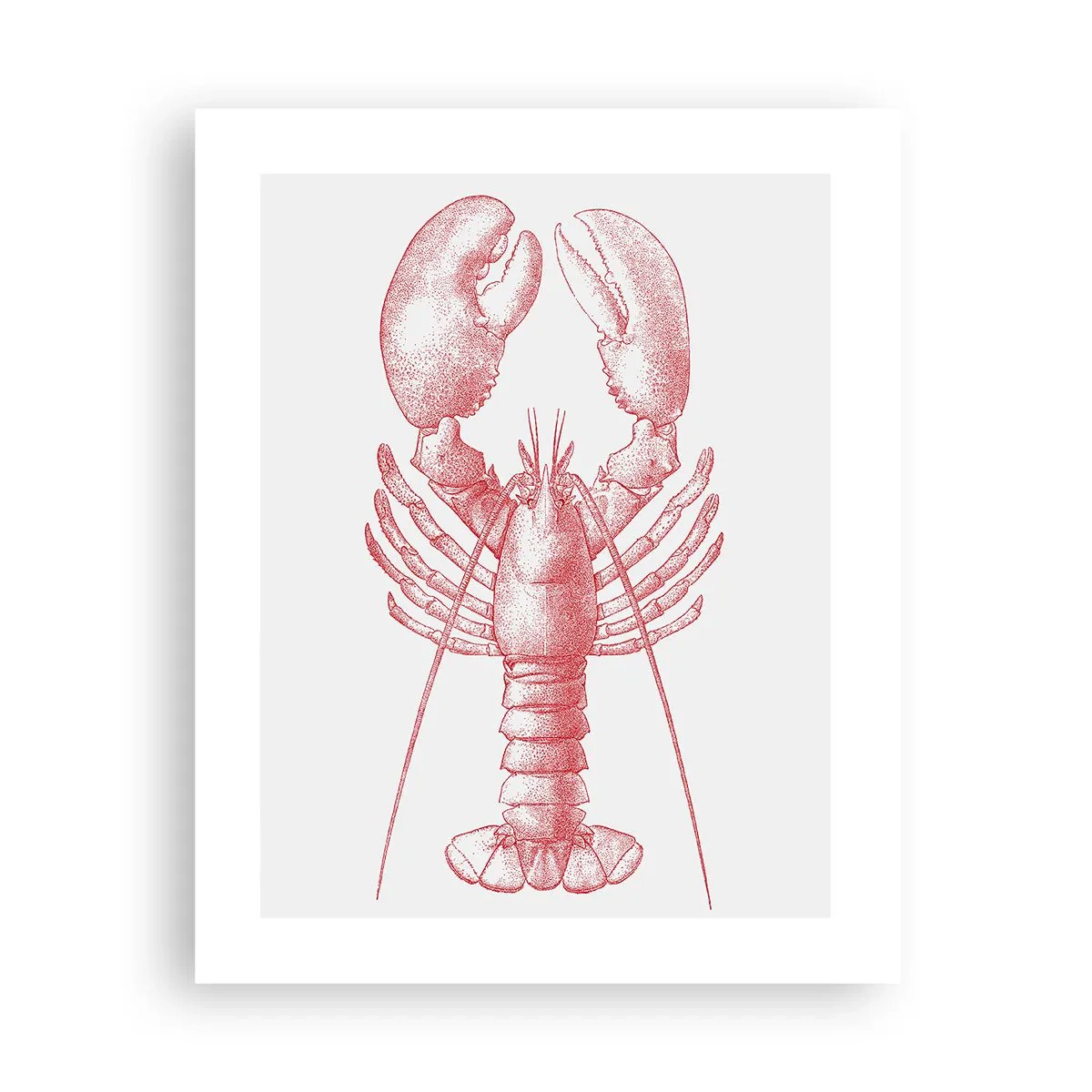 Plakat - Hummer, der er Homer værdig - 40x50 cm