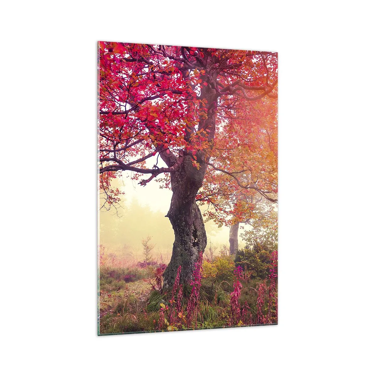 Billede på glas - Et væld af blomstring - 70x100 cm