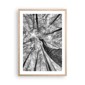 Plakat i ramme af lyst egetræ - Kapløb mod lyset - 50x70 cm