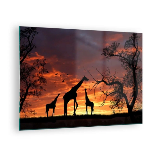Billede på glas - Silhuetter af giraffer mod baggrunden af en solnedgang i et afrikansk landskab - 70x50cm - En lille middag med dem, du holder af - Moderne vægdekoration til stue og soveværelse ARTTOR