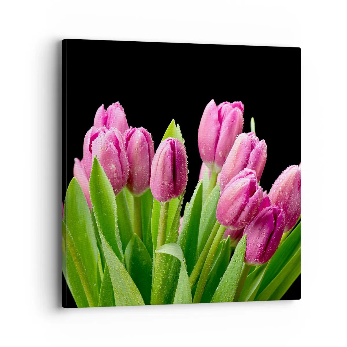 Lærredstryk - Billede på lærred - Forårets lilla glæde - 40x40 cm