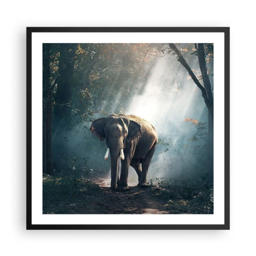 Plakat i sort ramme - En fredelig gåtur - 60x60 cm