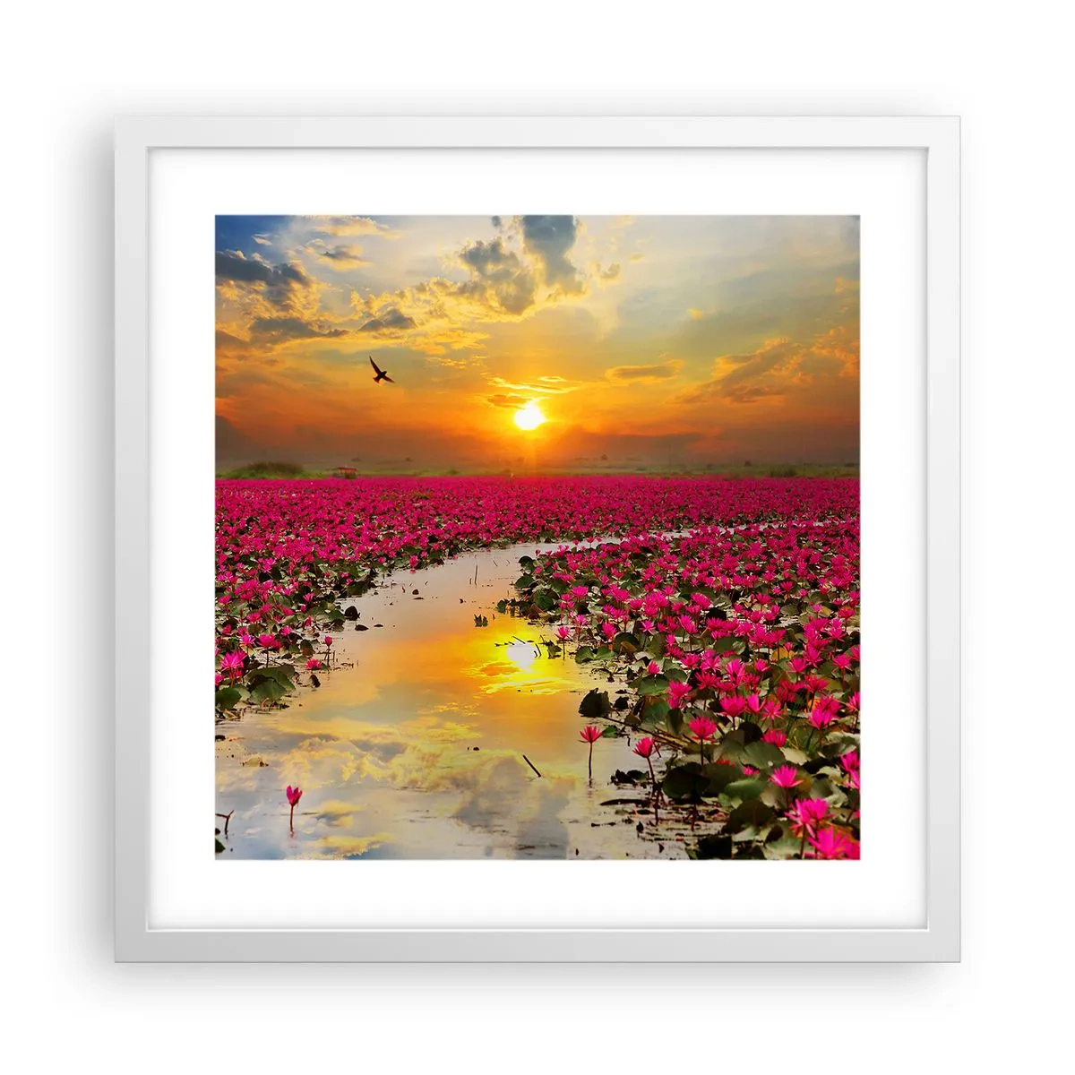 Plakat i hvid ramme - Søens hemmelige liv - 40x40 cm