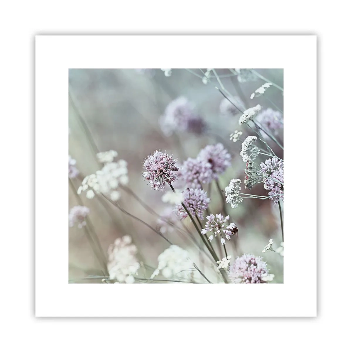 Plakat - Søde filigranurter - 30x30 cm