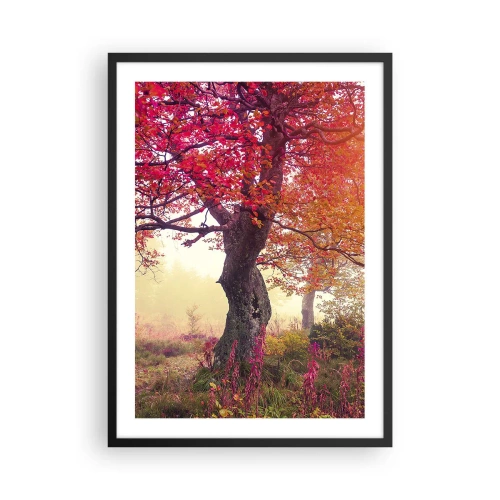 Plakat i sort ramme - Et træ med røde blade i et efterårslandskab - 50x70cm - Et væld af blomstring - Moderne vægdekoration til stue og soveværelse ARTTOR