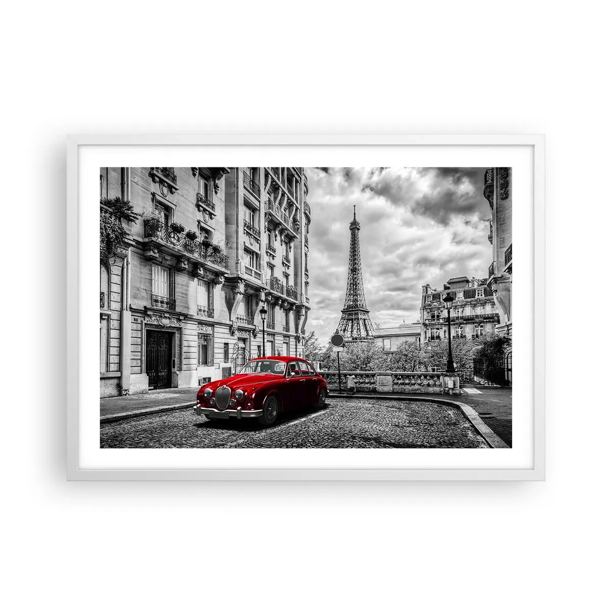 Plakat i hvid ramme - Rovdyr i byen - 70x50 cm
