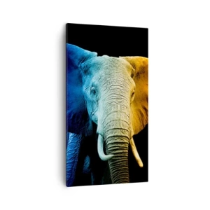 Lærredstryk - Billede på lærred - Excentrisk, ikke underlig - 45x80 cm