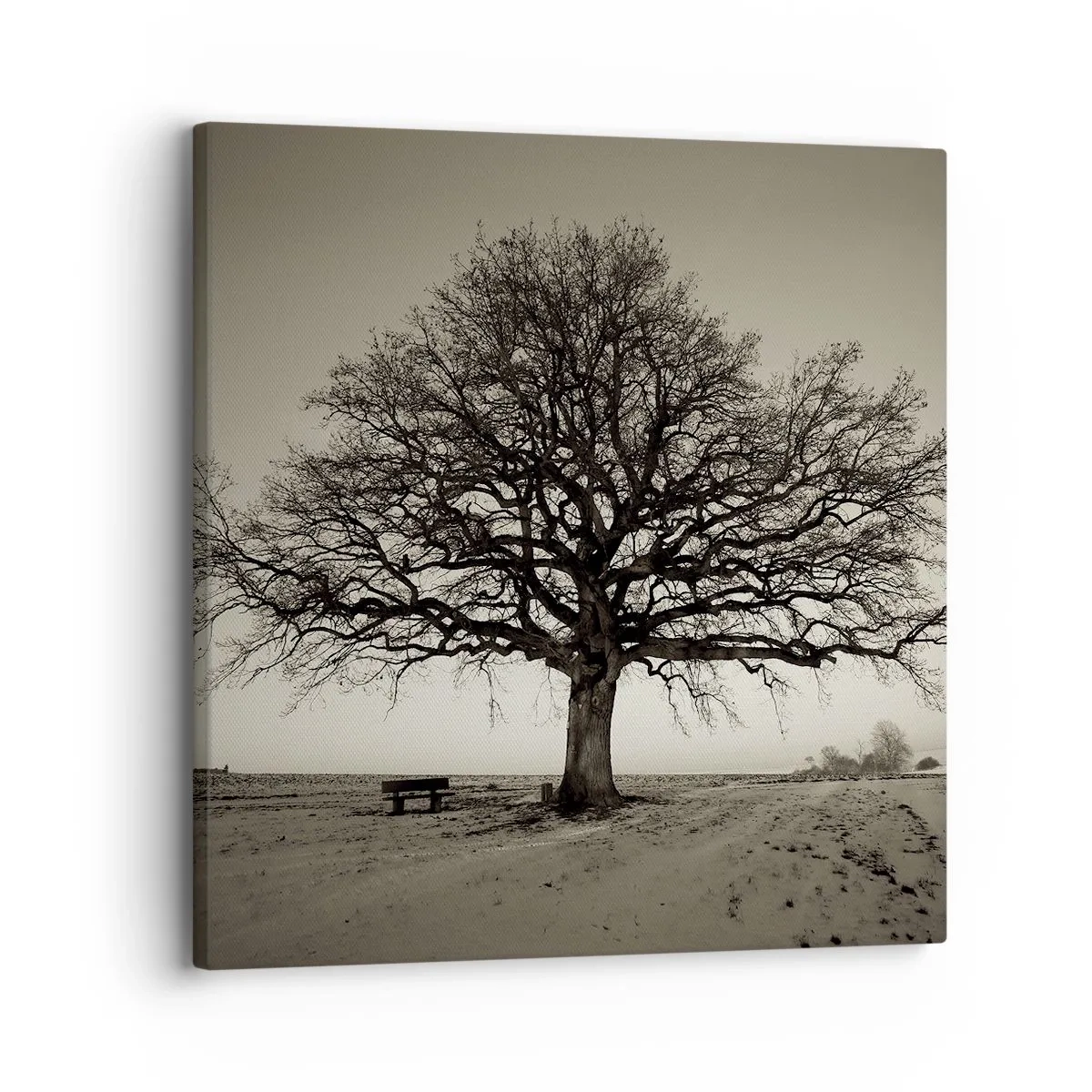 Lærredstryk - Billede på lærred - Herfra og til evigheden - 30x30 cm