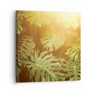 Lærredstryk - Billede på lærred - Træd ind i det grønne... - 30x30 cm