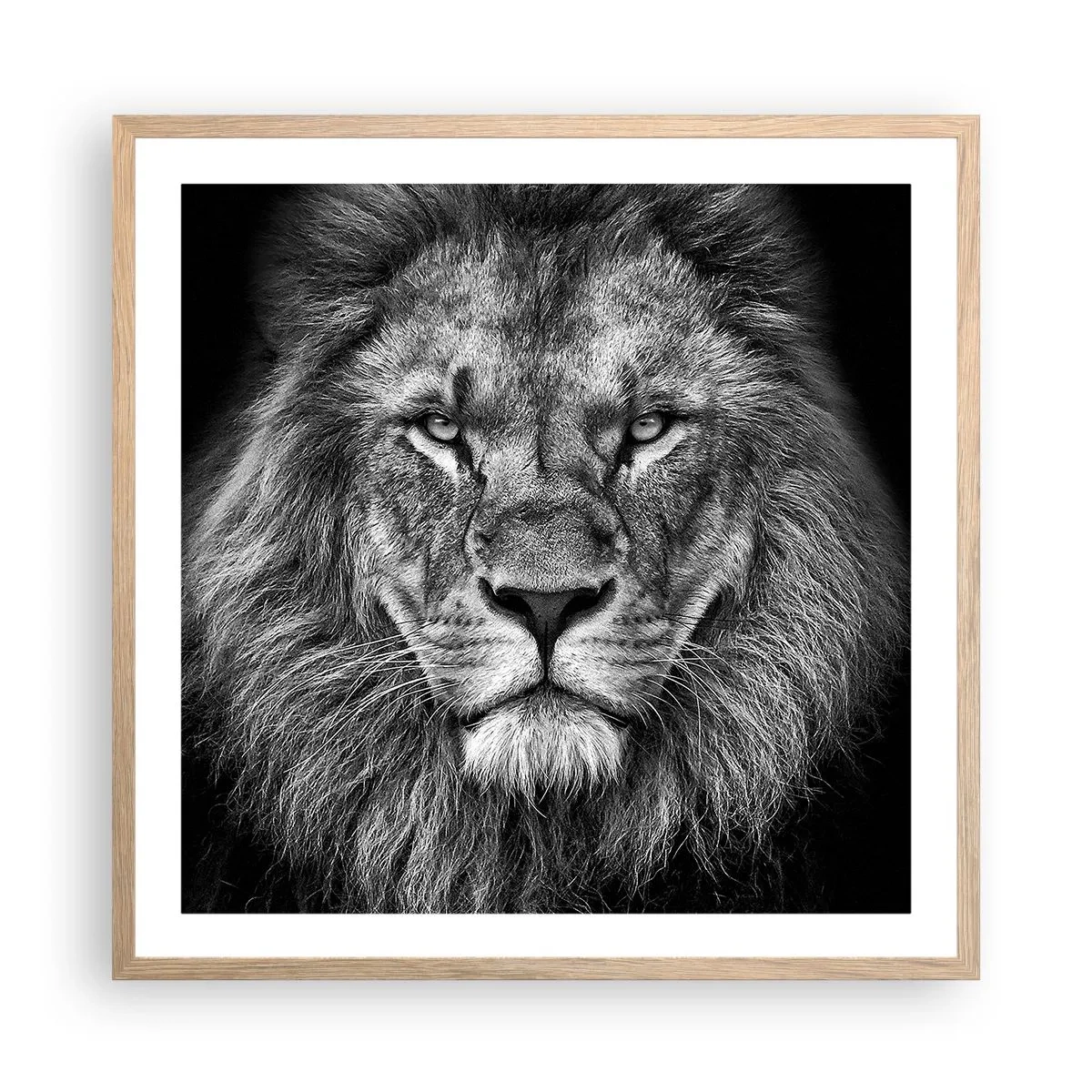 Plakat i ramme af lyst egetræ - I kroningsklædning - 60x60 cm