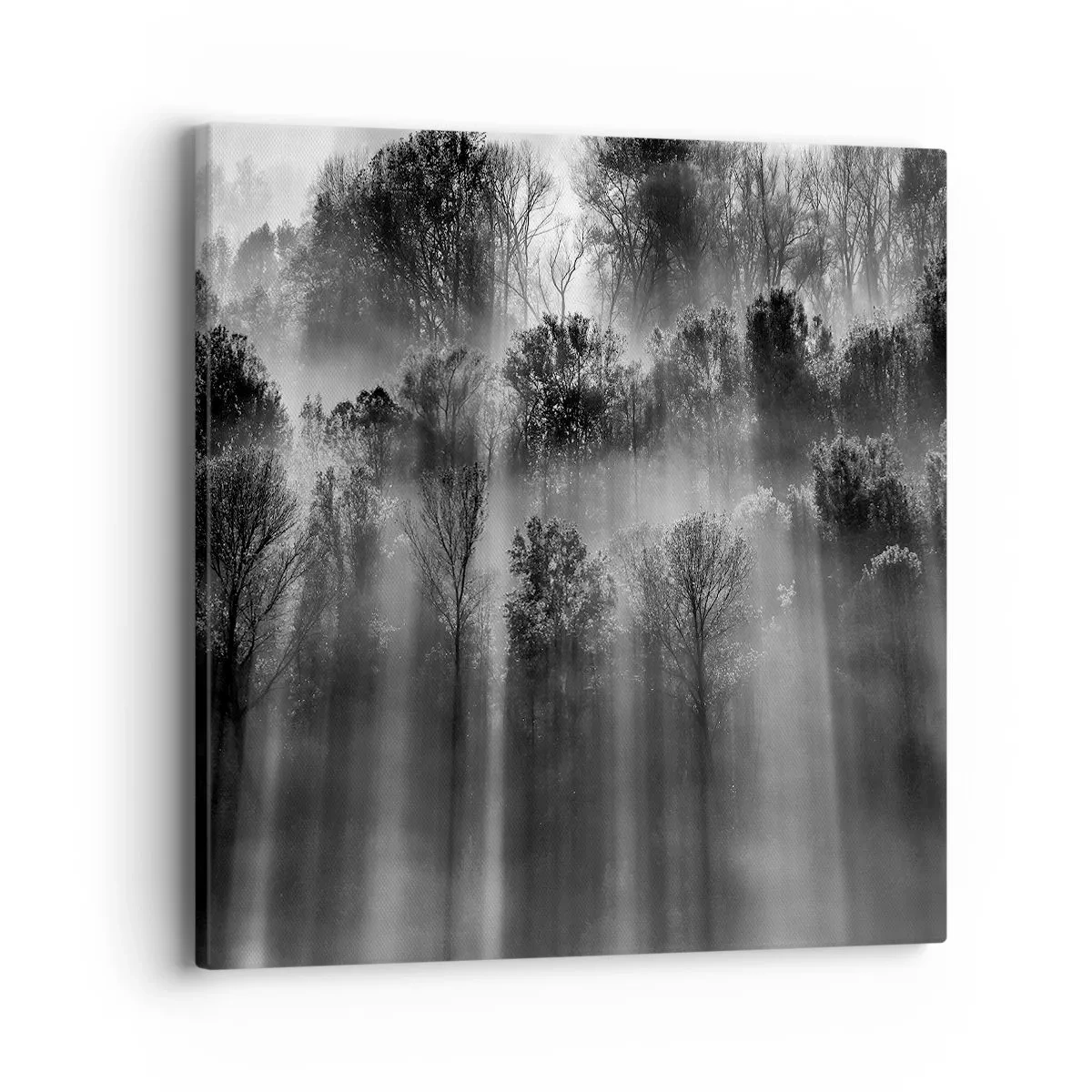 Lærredstryk - Billede på lærred - I stråler af lys - 40x40 cm