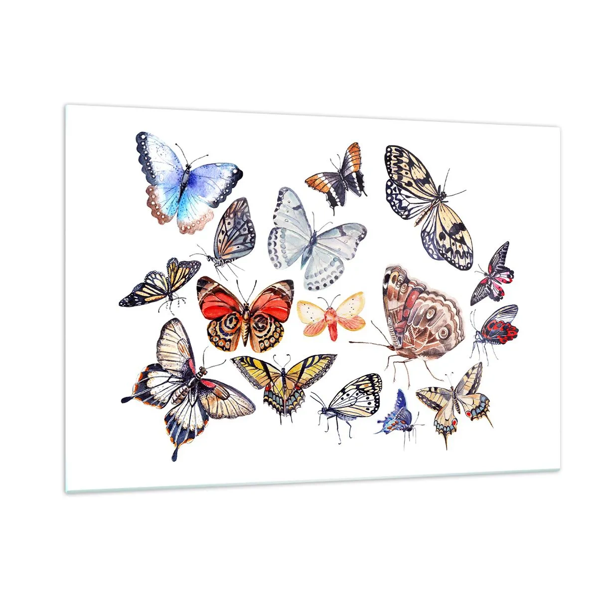 Billede på glas - Blonder, farverig sværm - 120x80 cm