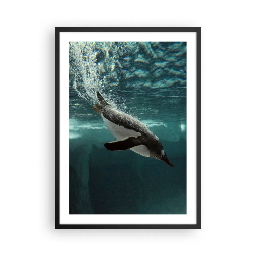 Plakat i sort ramme - En pingvin, der svømmer under vandet - 50x70cm - Velkommen til min verden - Moderne vægdekoration til stue og soveværelse ARTTOR