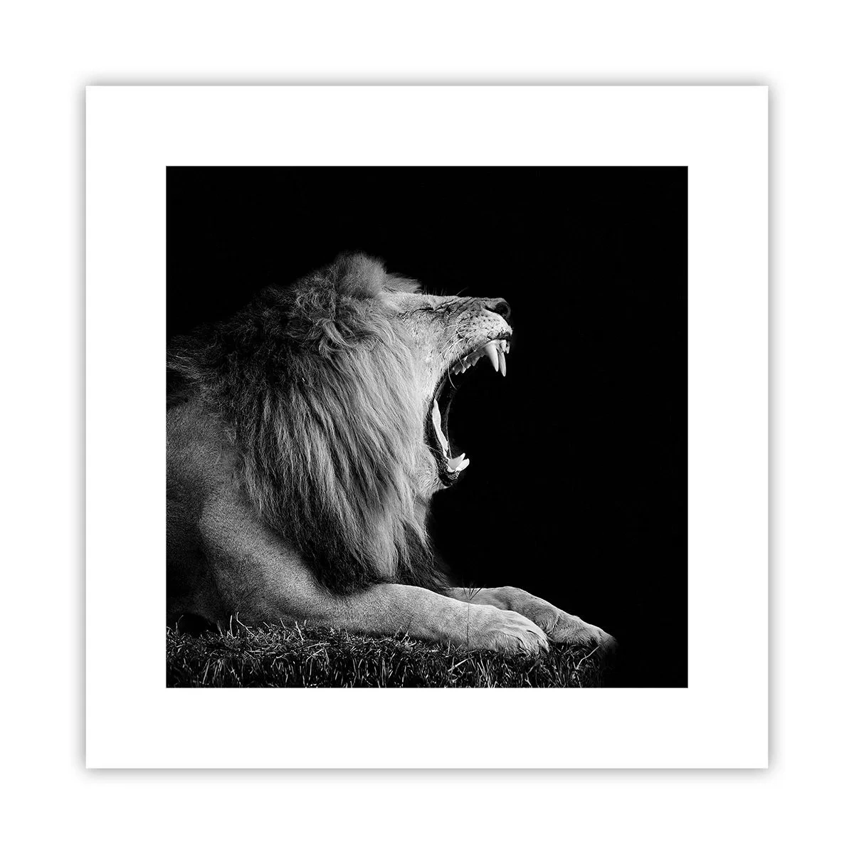 Plakat - Uden tvivl - 30x30 cm