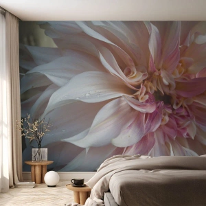 Fototapet Premium Sand - Blomstrende friskhed - Blomst, Dahlia, Plante - 100x70 cm