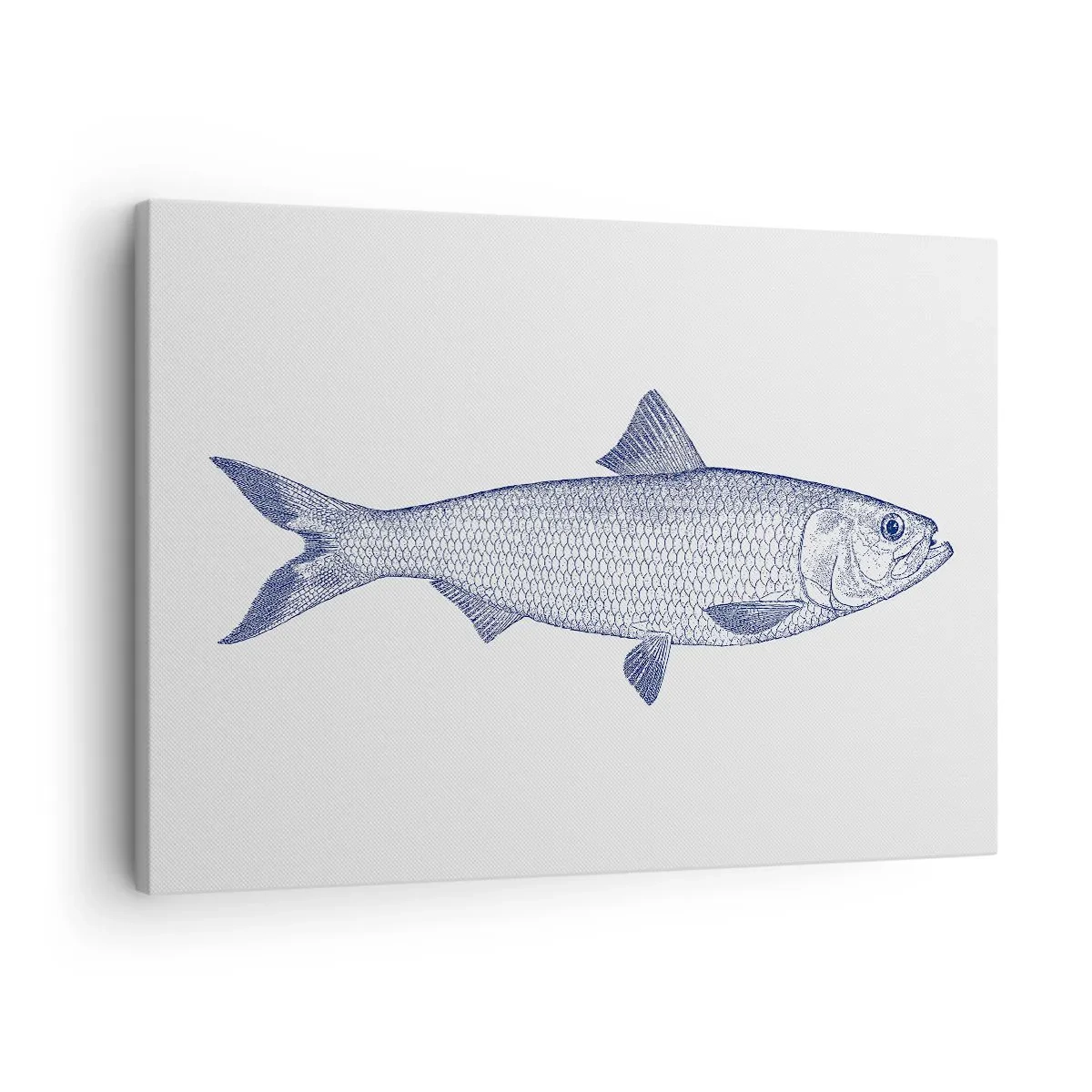 Lærredstryk - Billede på lærred - Illustration af en fisk i blå nuancer på en lys baggrund - 70x50cm - Hilsner fra de nordlige have - Moderne vægdekoration til stue og soveværelse ARTTOR