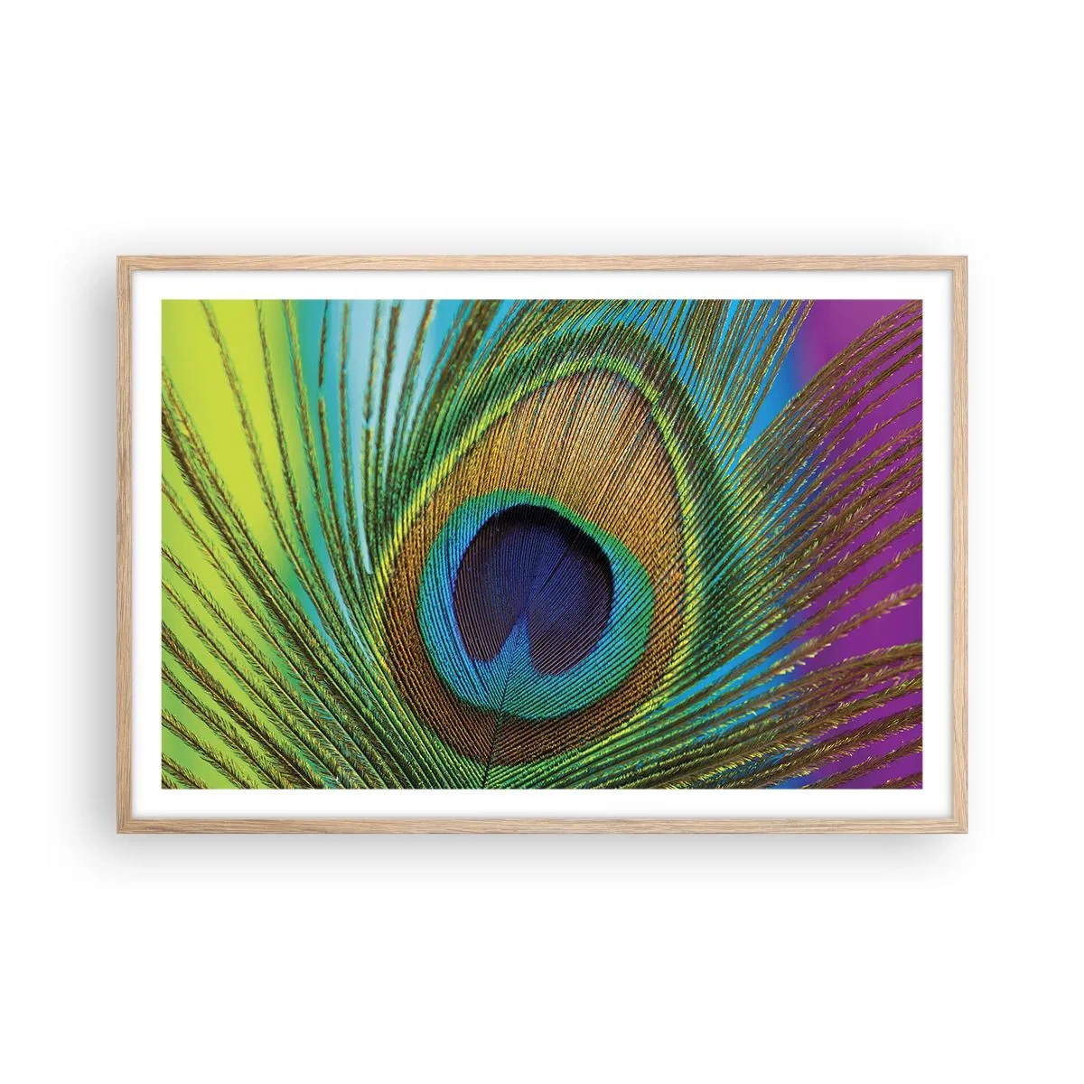 Plakat i ramme af lyst egetræ - Øje mod øje - 91x61 cm