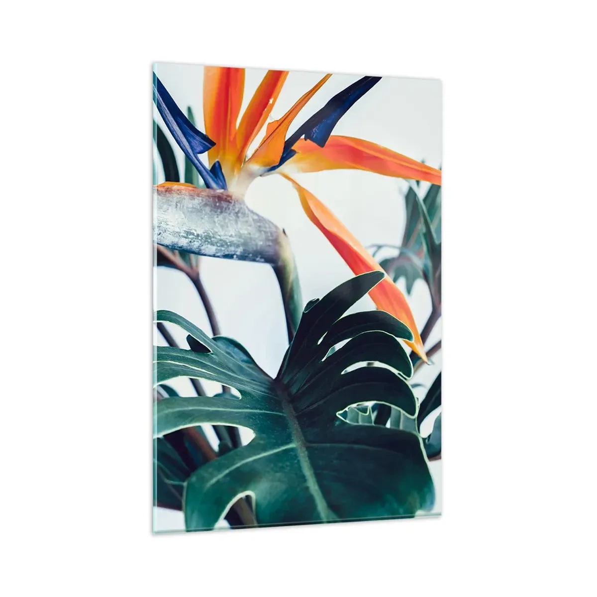 Billede på glas - Fuglebur - 80x120 cm