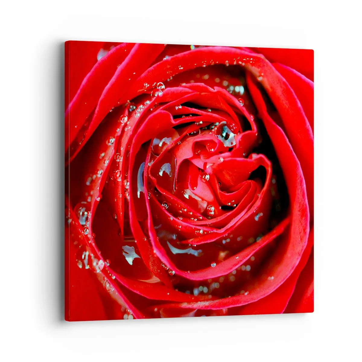 Lærredstryk - Billede på lærred - I dråber af dug - 40x40 cm