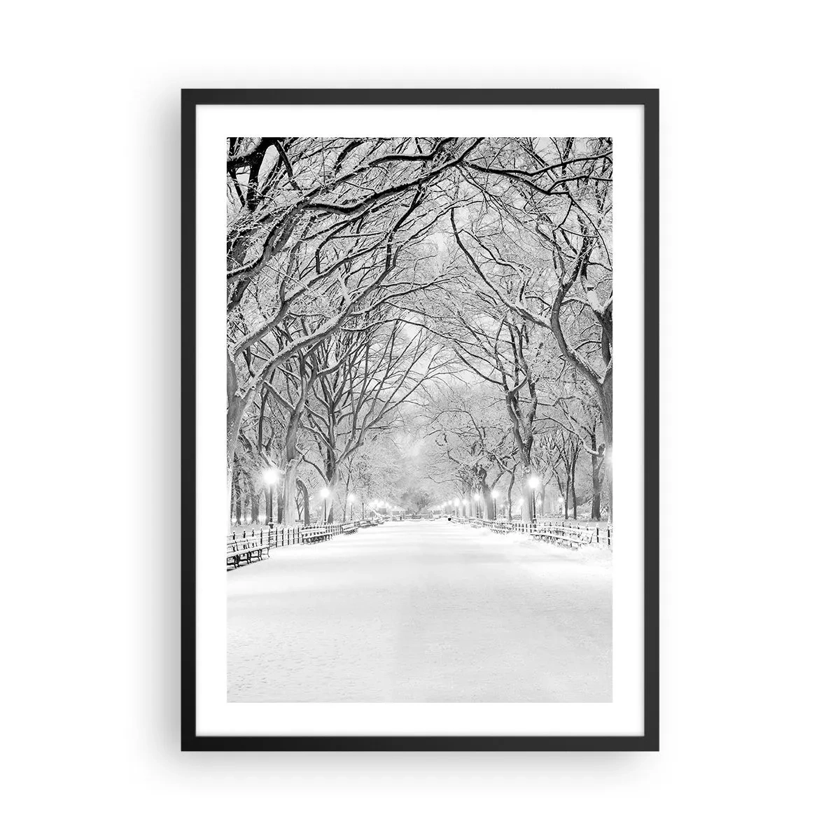 Plakat i sort ramme - En vinterallé af træer dækket af sne i parken - 50x70cm - Fire årstider - vinter - Moderne vægdekoration til stue og soveværelse ARTTOR