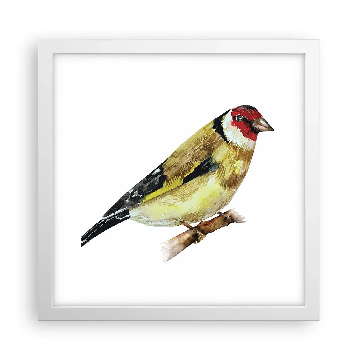 Plakat i hvid ramme - Portræt af en fugl - 30x30 cm