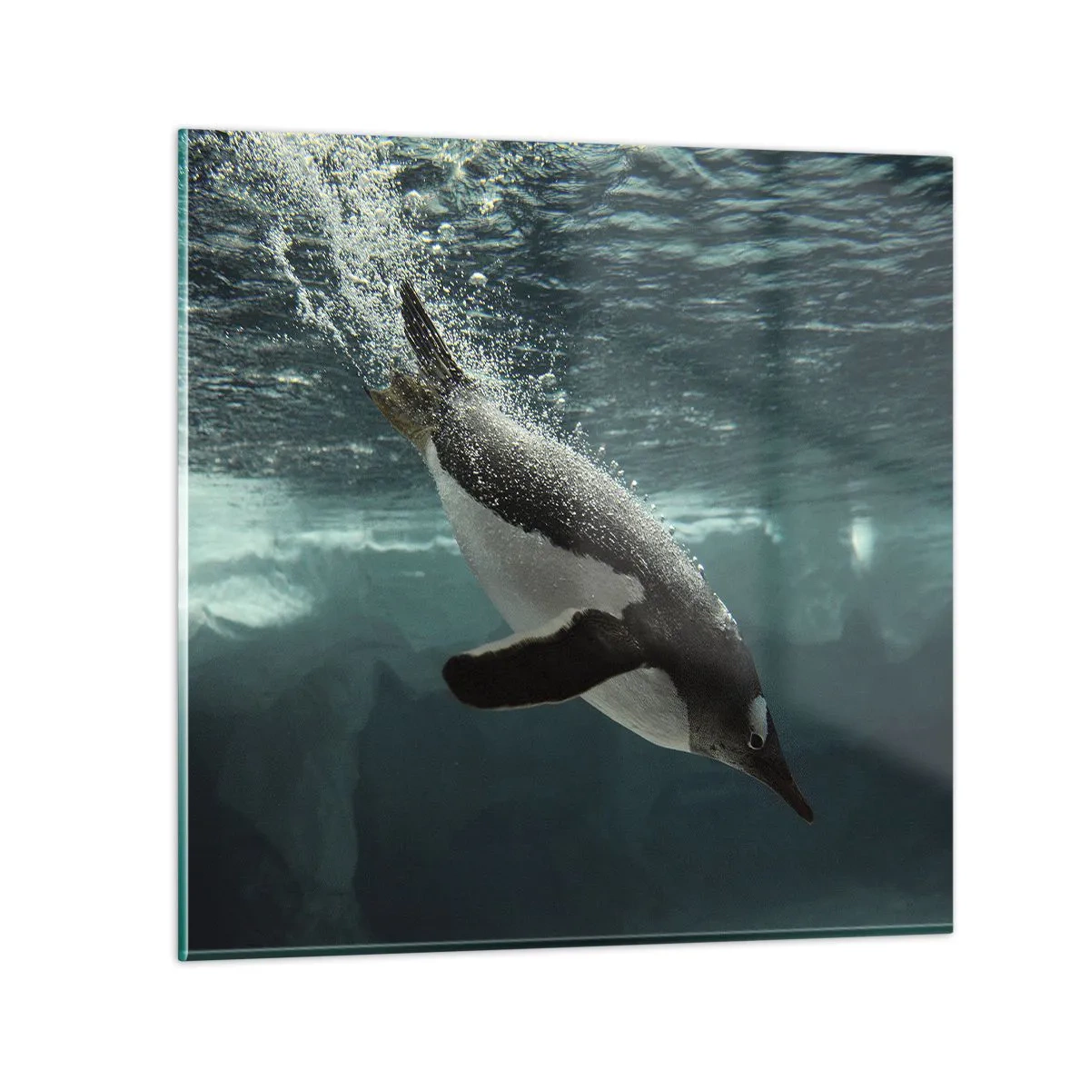 Billede på glas - Velkommen til min verden - 40x40 cm