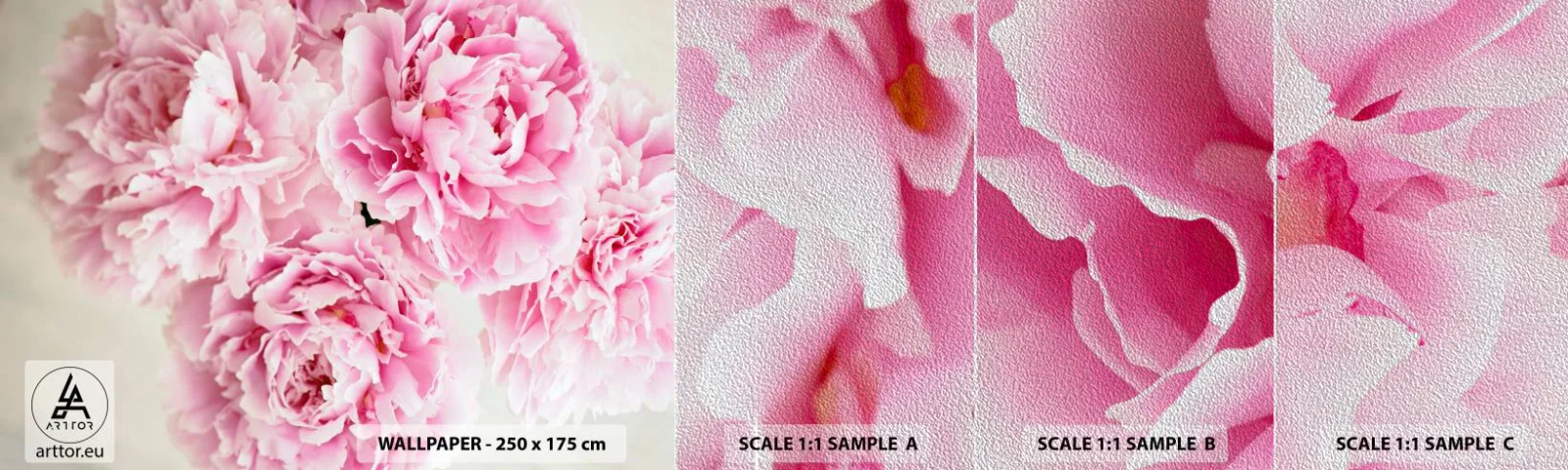 Prøve Fototapet Premium Sand - I lyserød glamour - Pæoner, Buket blomster, Blomster - 100x30 cm