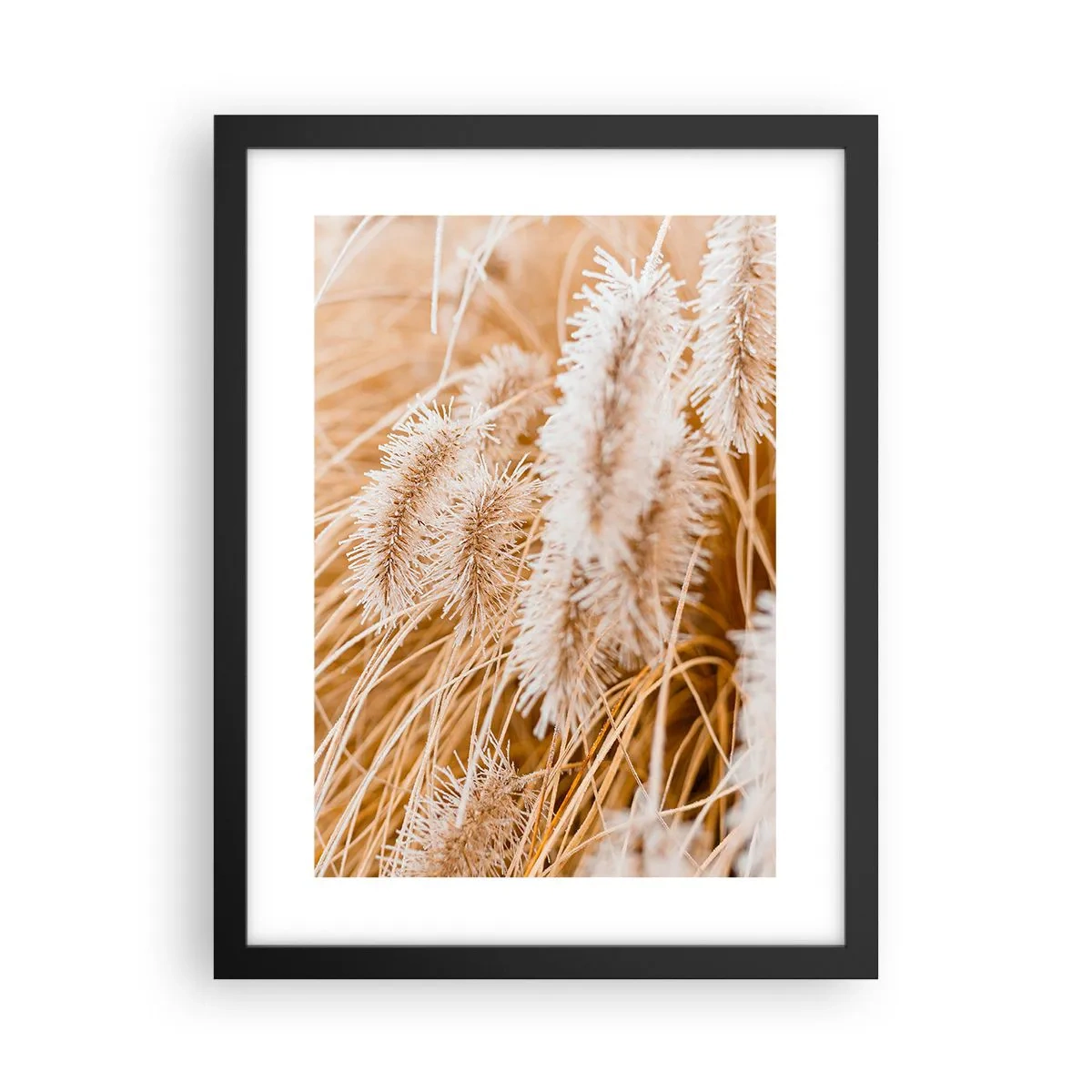 Plakat i sort ramme - Gyldent susen af græsser - 30x40 cm
