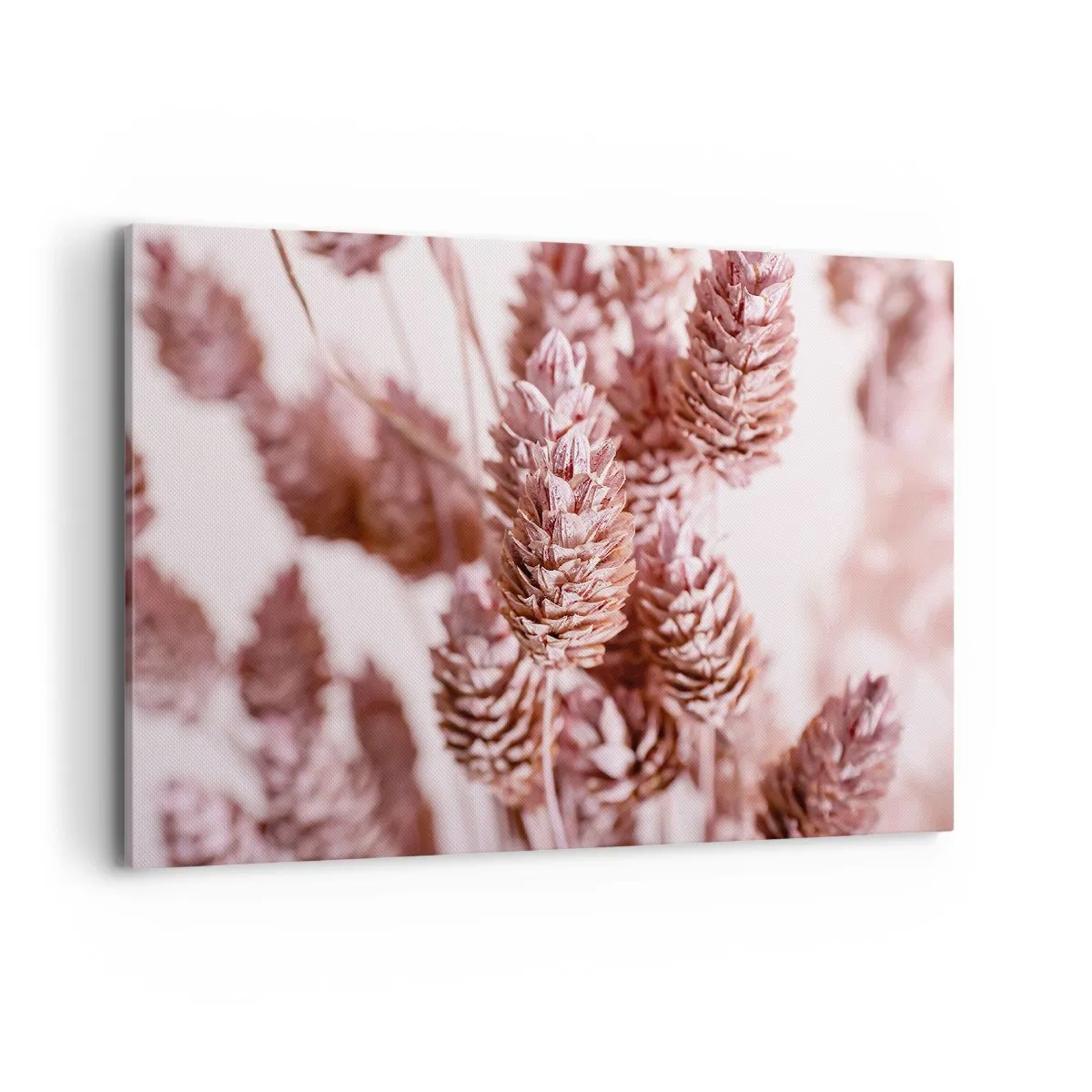 Lærredstryk - Billede på lærred - Tilsyneladende ubemærket - 100x70 cm