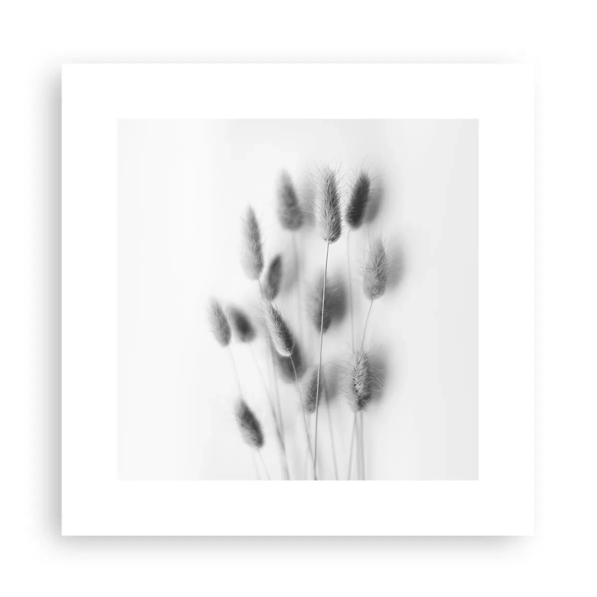 Plakat - Dens bløde græs - 30x30 cm