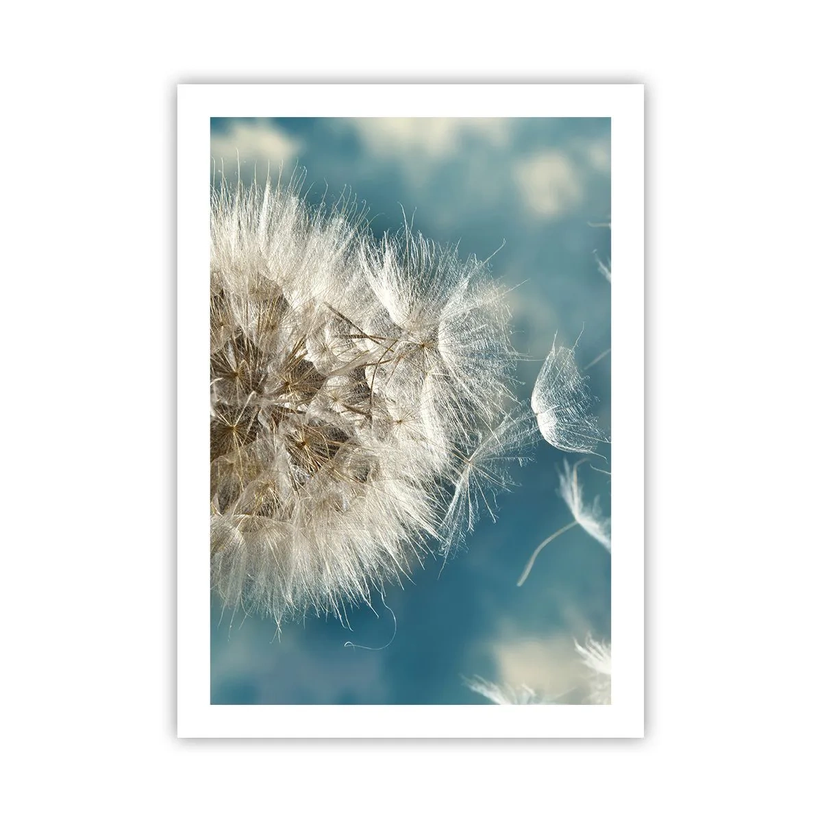 Plakat - En engels åndedræt - 50x70 cm