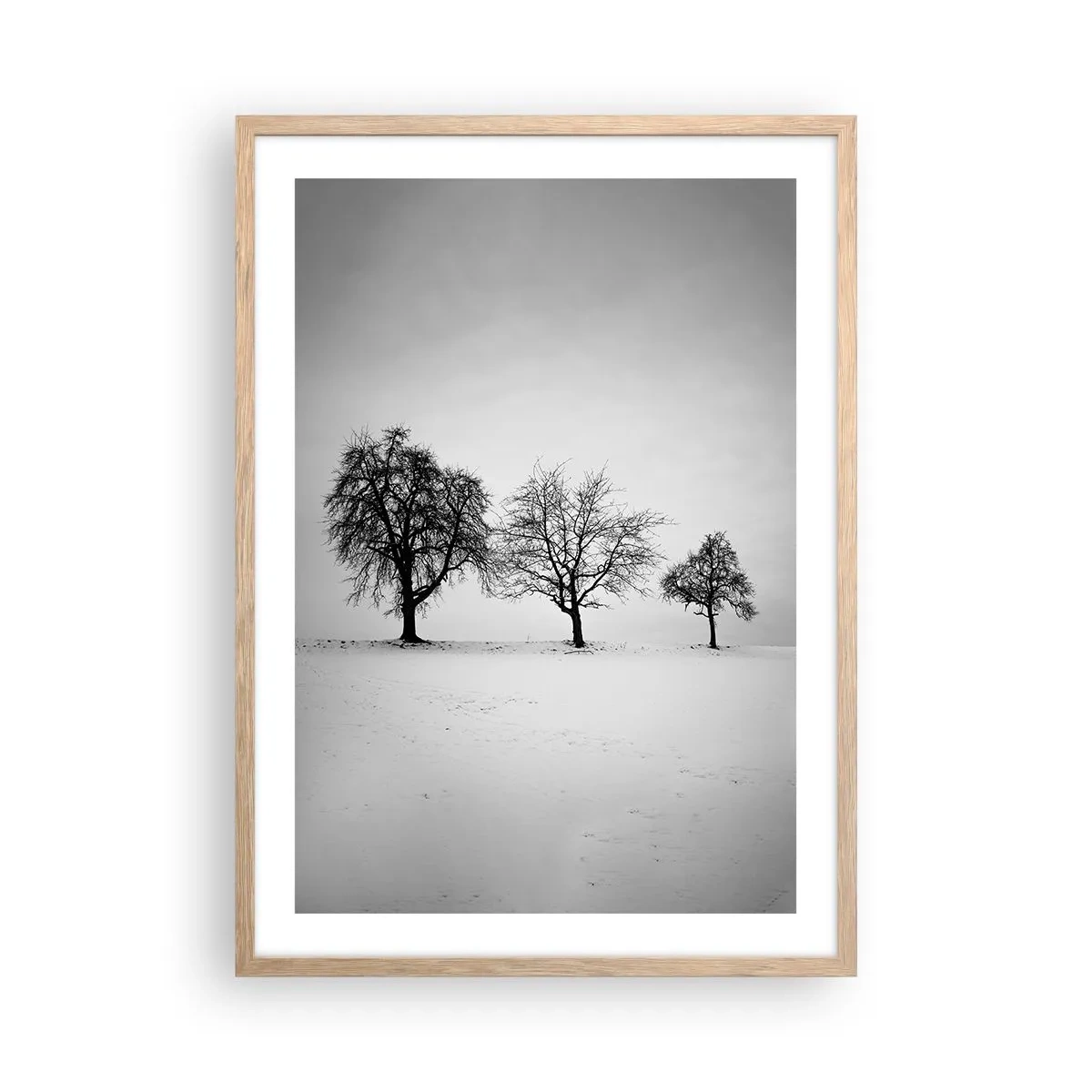 Plakat i ramme af lyst egetræ - Hvad drømmer de om? - 50x70 cm
