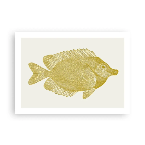 Plakat - Fisk og det er det - 70x50 cm