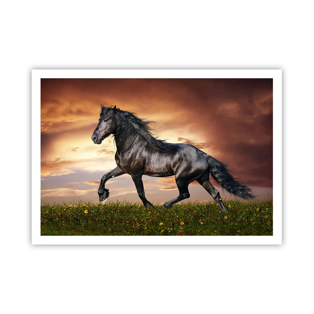 Plakat - Sort prins - 100x70 cm