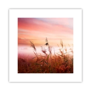 Plakat - Drager, blæsere, vind - 30x30 cm