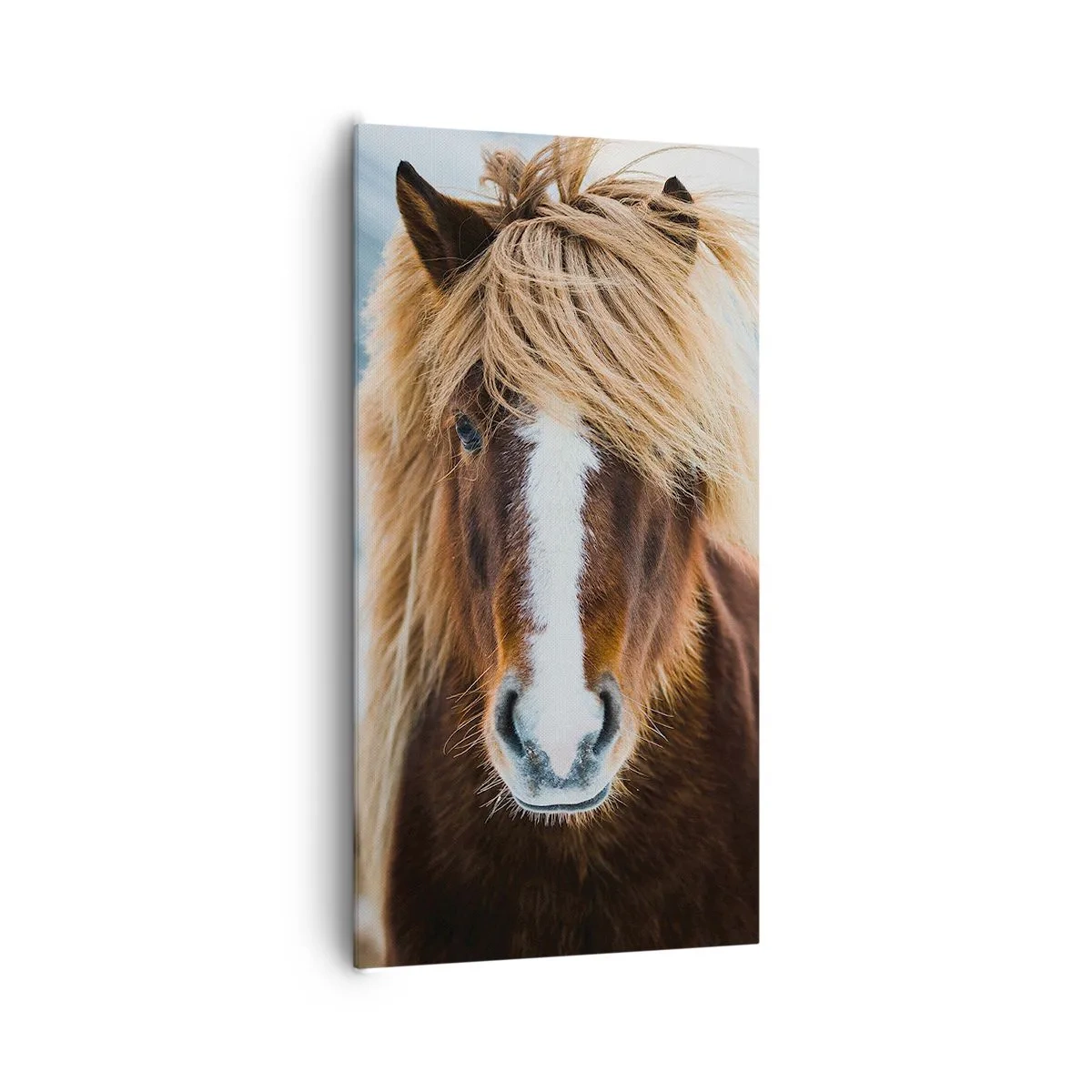 Lærredstryk - Billede på lærred - Kan du mærke friheden? - 65x120 cm