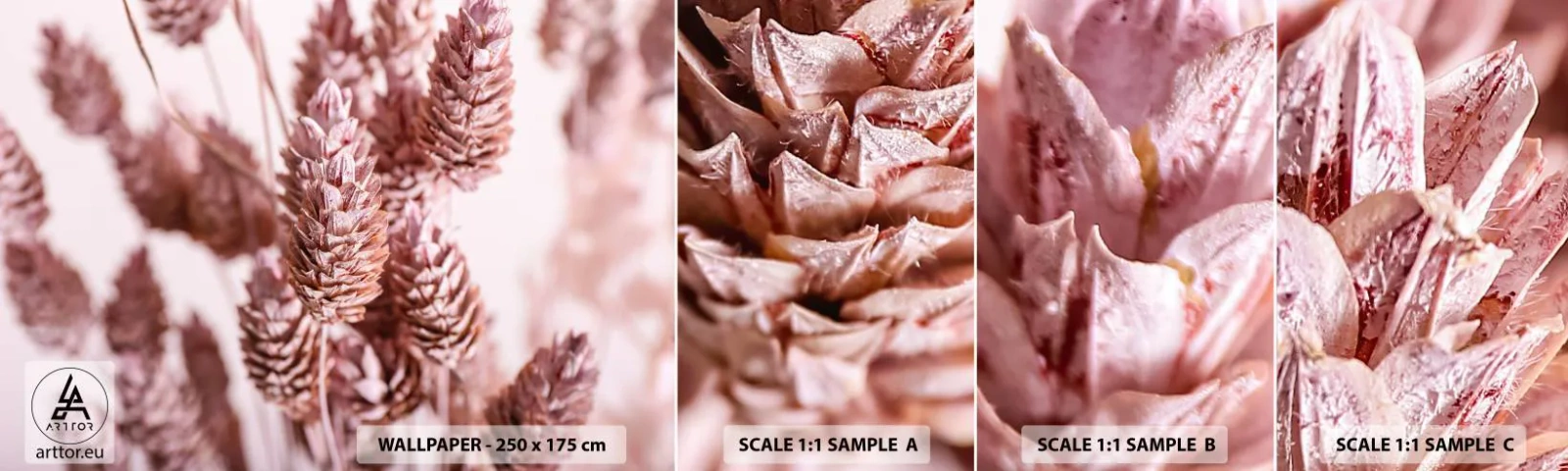 Fototapet Prøve Standard Eco - Tilsyneladende ubemærket - Tørret blomst, Blomst, Eng - 100x30 cm