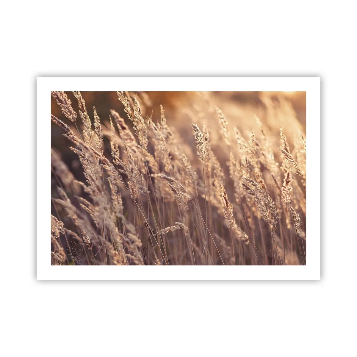 Plakat - Klar til at byde efteråret velkommen - 70x50 cm